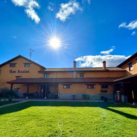 Reales Carrizo de la Ribera