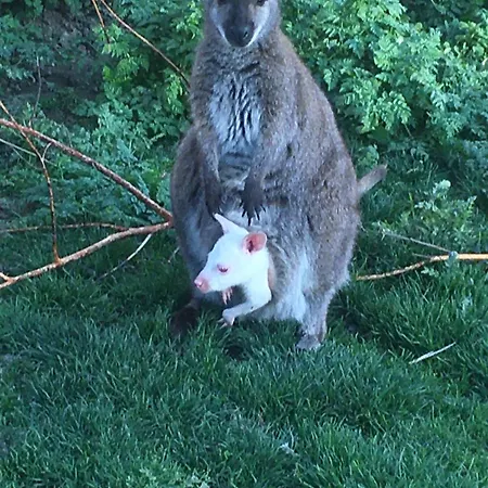 Reales Hotel Carrizo de la Ribera