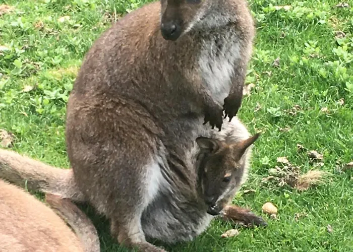 Reales 호텔 Carrizo de la Ribera