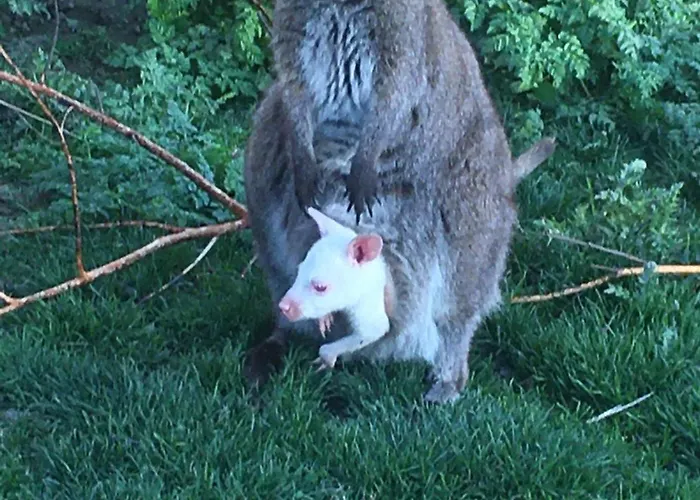 Reales 호텔 Carrizo de la Ribera