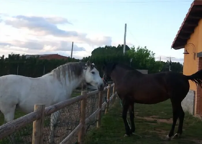 Reales Hotel Carrizo de la Ribera