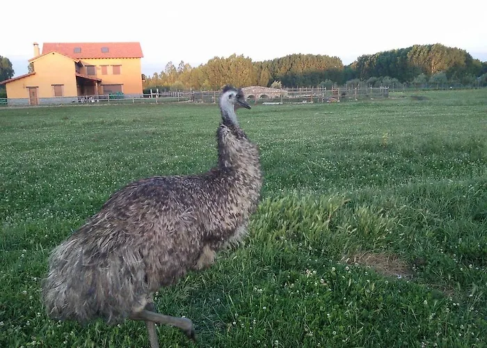 호텔 Reales Carrizo de la Ribera